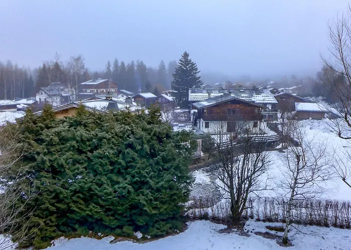 Le Bois Du Bouchet-6 By Interhome Appartement Chamonix